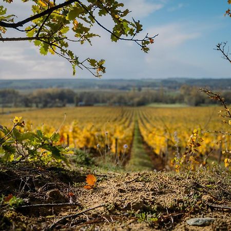 Bed and Breakfast Domaine Beausejour Panzoult Екстер'єр фото