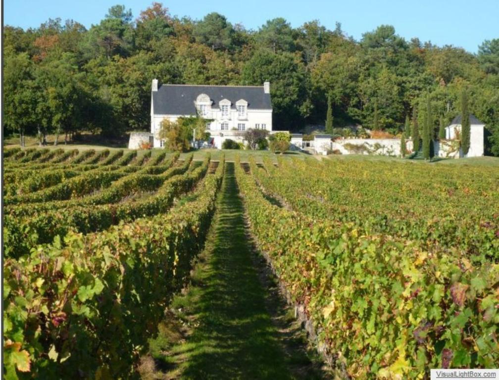Bed and Breakfast Domaine Beausejour Panzoult Екстер'єр фото